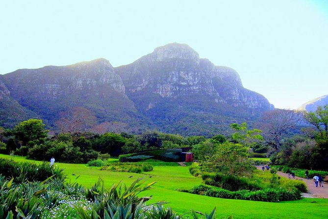 Private Cape Peninsula + Kirstenbosch Garden Full Day Guided Tour - Cape Point Nature Reserve and the lighthouse