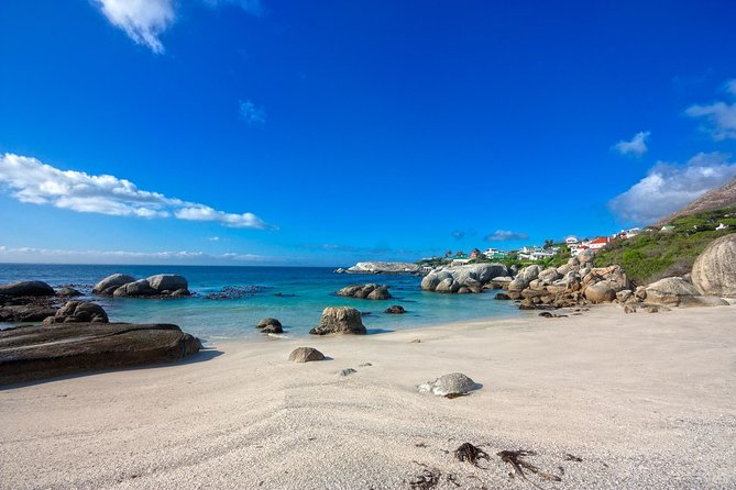 Private Cape Peninsula + Kirstenbosch Garden Full Day Guided Tour - Lunch at Scarborough and the Misty Cliffs road
