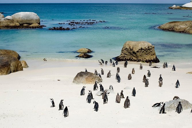Private Cape Peninsula + Kirstenbosch Garden Full Day Guided Tour - Ou Kaapse Weg and the road back toward Cape Town