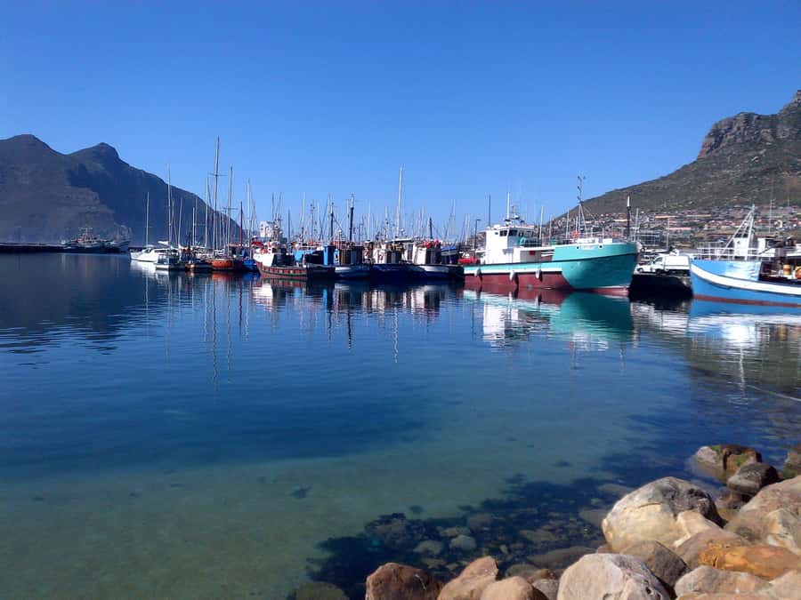 Private Cape Peninsula + Kirstenbosch Garden Guided Tour - Why a private eight-hour route works well
