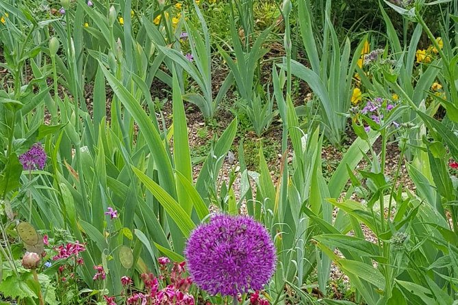 Private Car Trip to Giverny Garden from Paris - The Clos Normand garden and Monet’s famous water world