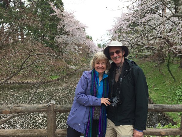 Private Cherry Blossom Tour in Hirosaki with a Local Guide - Starting at the Former Hirosaki City Library