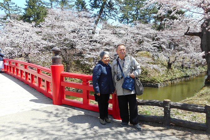 Private Cherry Blossom Tour in Hirosaki with a Local Guide - What the private format really gives you