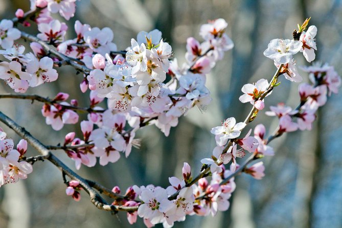 Private Customized Beijing Garden Tour - Key Points Before You Book