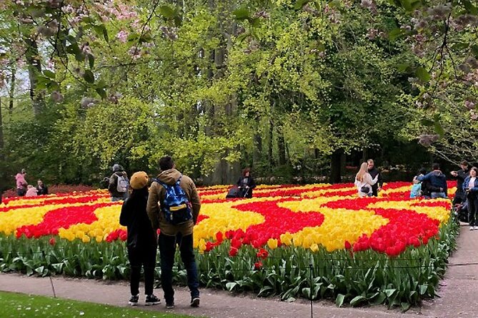 Private Day Tour to Keukenhof Gardens - from Amsterdam/Rotterdam - The 9 a.m. pickup and ride through South Holland