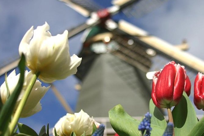 Private Day Tour to Keukenhof Gardens - from Amsterdam/Rotterdam - Choosing Delft, windmills, or a farm