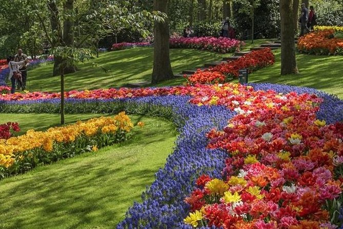 Private Day Tour to Keukenhof Gardens - from Amsterdam/Rotterdam - Guides who shape the day