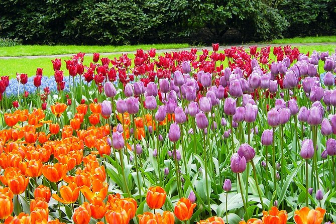 Private Day Trip from Amsterdam to Keukenhof with Entrance Tickets - Why Keukenhof works so well as a half-day trip