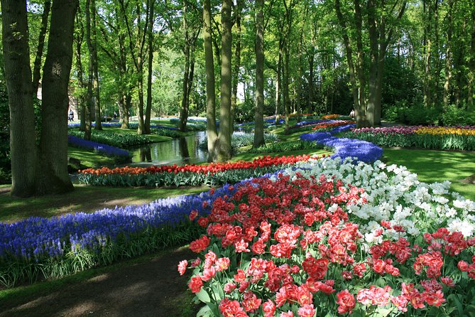 Private Day Trip from Amsterdam to Keukenhof with Entrance Tickets - Entering Keukenhof with less waiting