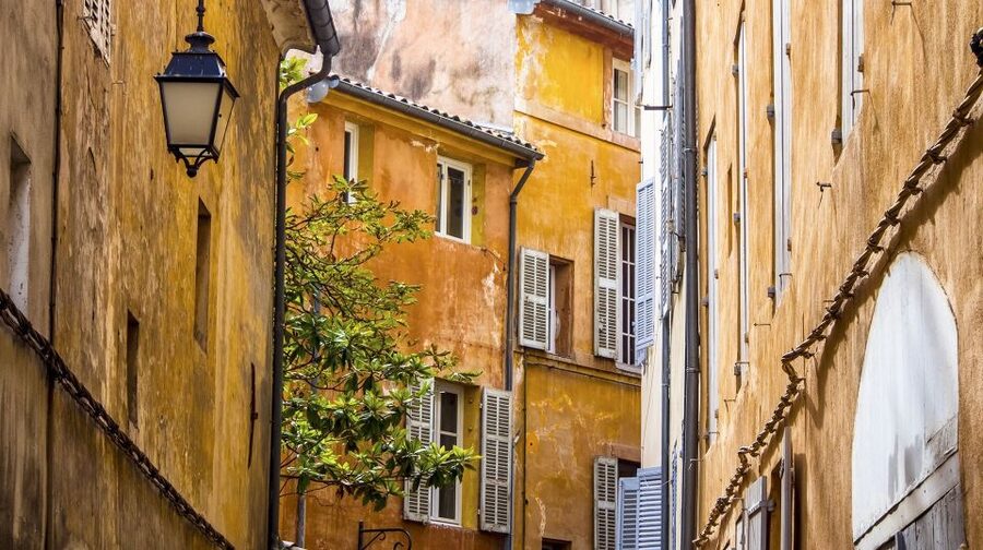 Private Day Trip to Provence and Lavender Fields - The guide and the pace of the day