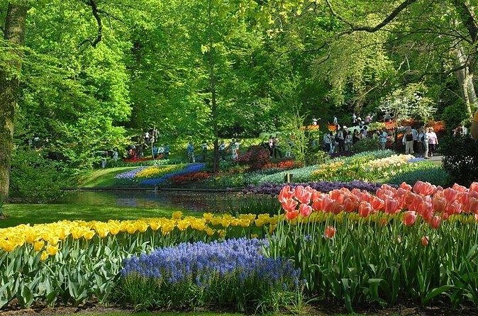 Private Day Trip to the Keukenhof Gardens and Giethoorn - Who will get the most from this outing?