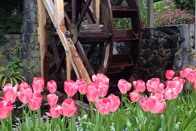 Private Deluxe Tour of Victoria & to Butchart Gardens (5 hrs) - Why This Private Format Works Well in Victoria