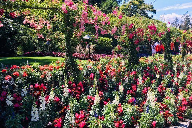 Private Deluxe Tour of Victoria & to Butchart Gardens (5 hrs) - Fisherman’s Wharf and the Inner Harbour