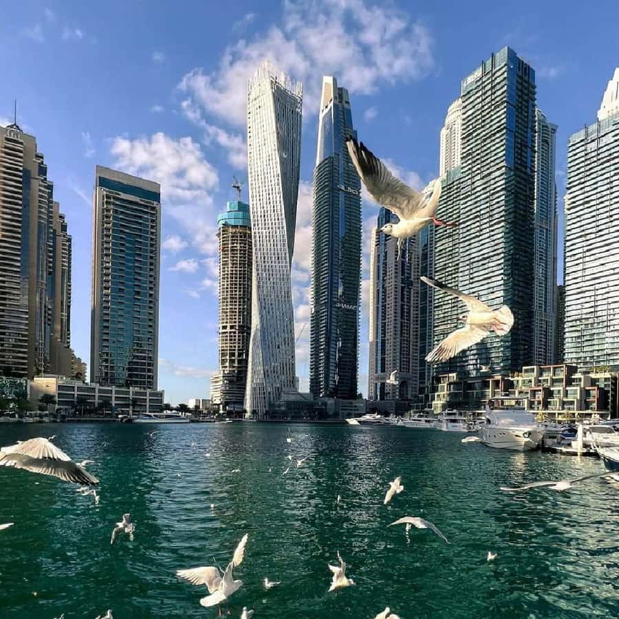 Private Dubai CityTour with Miracle Garden or Global Village - A short abra ride across Dubai Creek
