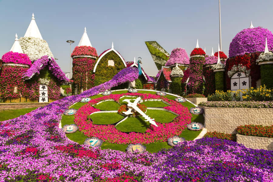 Private Dubai Frame & Miracle Garden Trip with Transfer - The Ride Between Stops