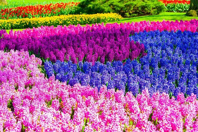 Private Flower Tour to the Keukenhof - The price: costly for two, better for four