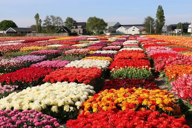 Private Flower Tour to the Keukenhof - What is included, and what is not