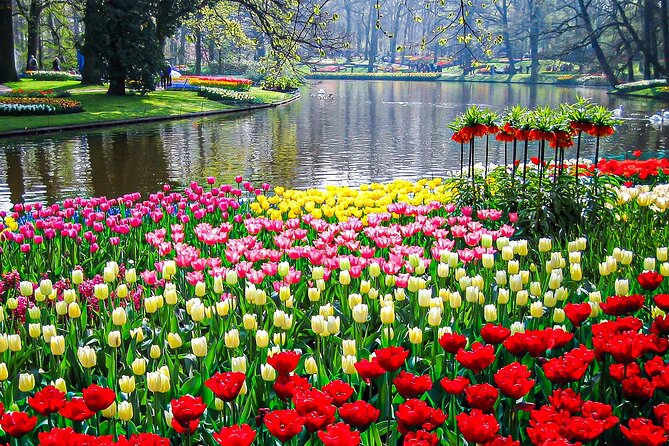 Private Flower Tour to the Keukenhof - A practical plan for your day