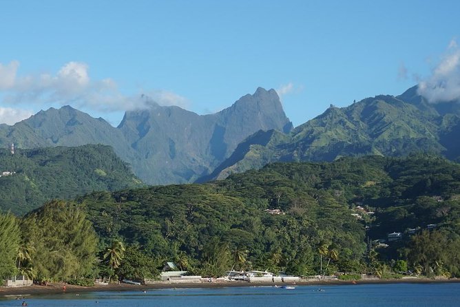 Private Full-Day Tahiti — Grotto, Gardens & Panoramas - Taharuu Beach and Tahiti’s surf culture