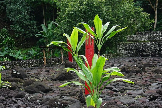 Private Full-Day Tahiti — Grotto, Gardens & Panoramas - Water Gardens of Vaipahi