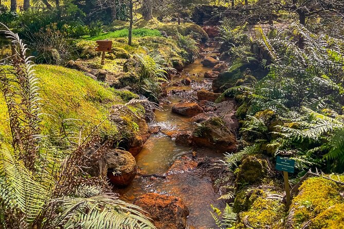 Private Full Day Tour Furnas – Thermal Pools & Botanical Garden - Lagoa das Furnas: Where Lunch Cooks Underground