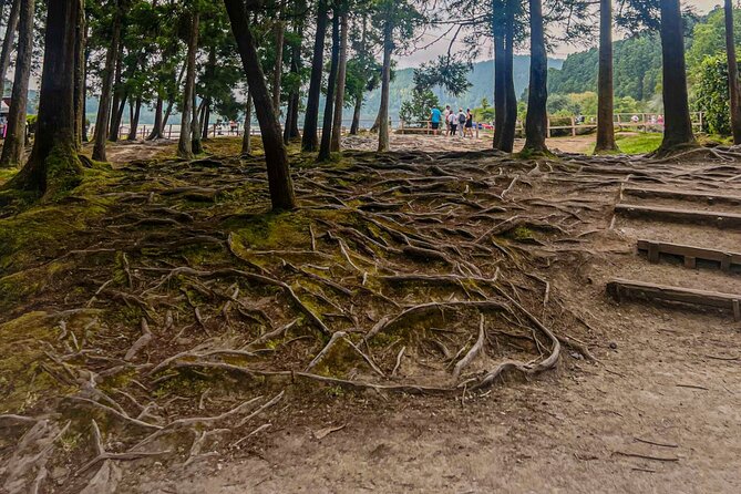 Private Full Day Tour Furnas – Thermal Pools & Botanical Garden - Terra Nostra: Gardens and a Warm Soak
