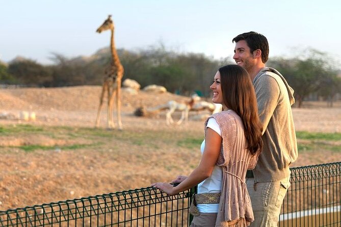 Private Garden City Tour with Zoo Ticket at Al Ain - How the private format changes the day
