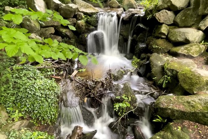 Private Garden of Ireland Wicklow Tour from Dublin - Key points to know before you book