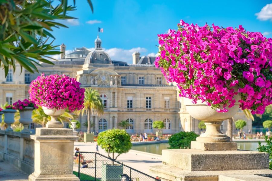 Private Guided Tour of Luxembourg Gardens & Panthéon Tickets - Languages, group size, and daily comfort
