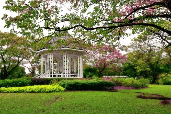 Private Half Day Singapore City Tour with Botanical Orchid Garden - Key points to know before booking