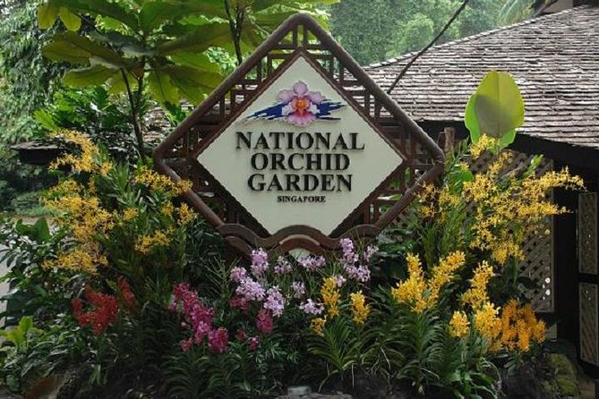 Private Half Day Singapore City Tour with Botanical Orchid Garden - Little India in only 30 minutes