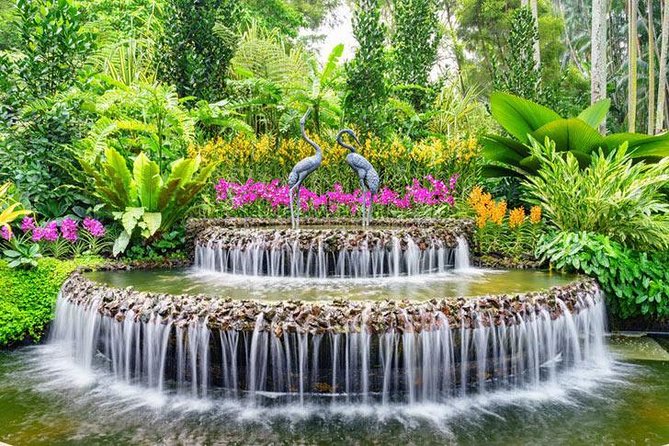 Private Half Day Singapore City Tour with Botanical Orchid Garden - Guides make the difference