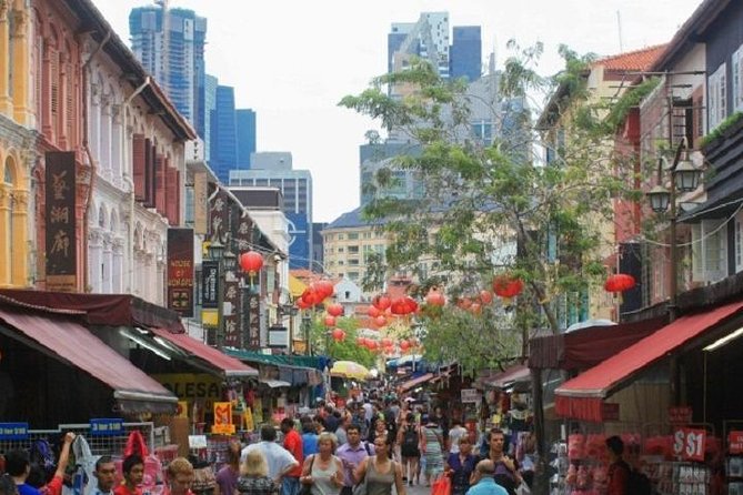 Private Half Day Singapore City Tour with Botanical Orchid Garden - Comfort, walking, and the Singapore heat