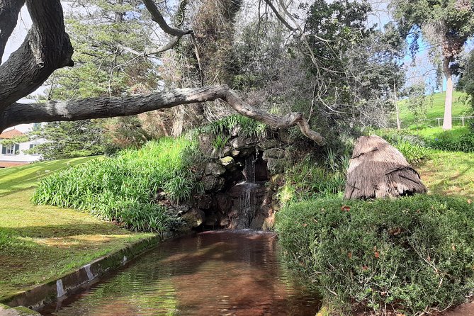 Private Halfday Flower Palheiro Gardens Tour - What to expect from the flowers and paths