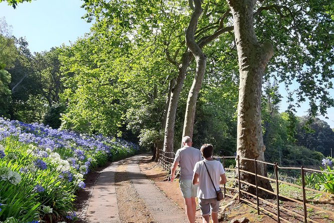 Private Halfday Flower Palheiro Gardens Tour - Is $108.37 per person good value?