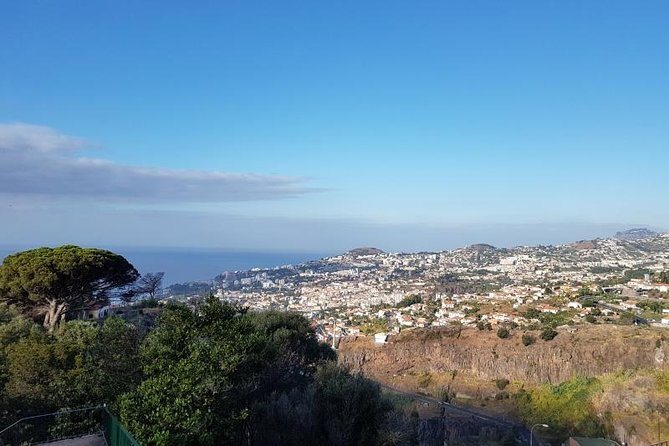 Private Halfday Madeira Garden Tour - Flexible Timing and a Four-Hour Pace