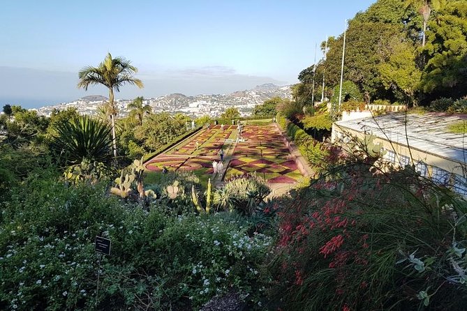 Private Halfday Madeira Garden Tour - Monte Palace Tropical Garden: Beauty With a Portuguese Story