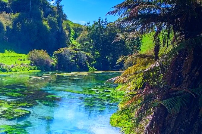 Private Hobbiton, Waitomo Caves, Blue Spring & Hamilton Transfer - The return through Hamilton and Waikato
