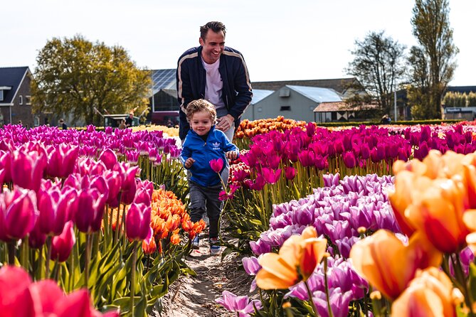 Private Keukenhof Gardens and Tulip Fields Tour from Amsterdam - Timing your visit for the best flowers