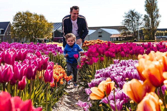 Private Keukenhof, Gardens, Windmills, cheese tour from Amsterdam - What the private driver adds to the day