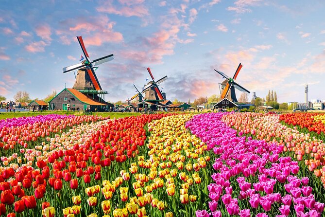 Private Keukenhof Park and Tulip Fields Tour (Skip-The-Line) - Leaving Amsterdam in a private Mercedes-Benz