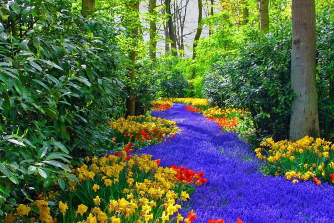 Private Keukenhof Park and Tulip Fields Tour (Skip-The-Line) - What the driver actually does