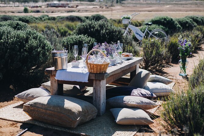 Private Picnic and Tasting in a Lavender Field - Booking and cancellation details that matter