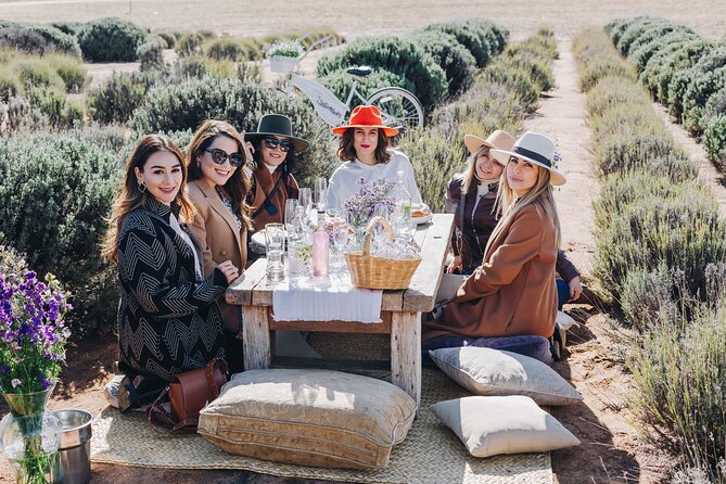 Private Picnic and Tasting in a Lavender Field - A short tour through the aromatic plant