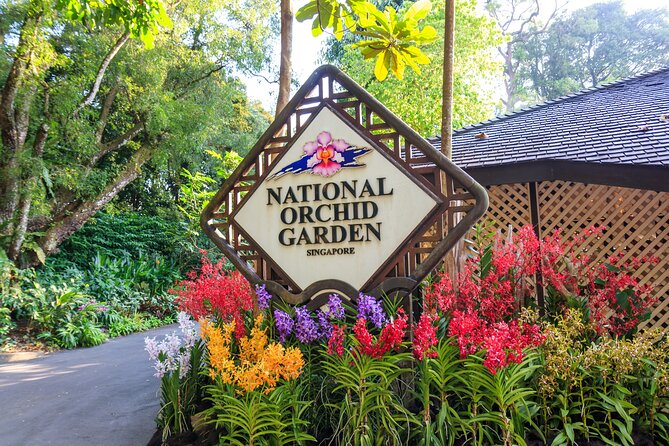 Private Singapore City Tour and National Orchid Garden - Why this 3.5-hour Singapore tour works well