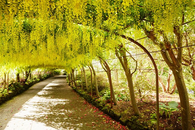 Private Snowdonia, Bodnant Gardens & Castles Tour - Bodnant Garden deserves the longest stop