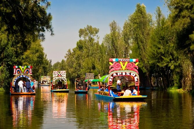 Private Tequila Craft Beer Tasting - Mexico City Floating Gardens - Quick Takeaways