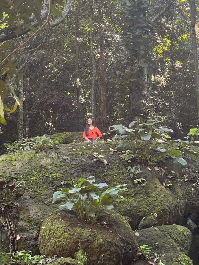 Private Tijuca Forest & Botanical Garden Guided Tour - Key points to know before you book