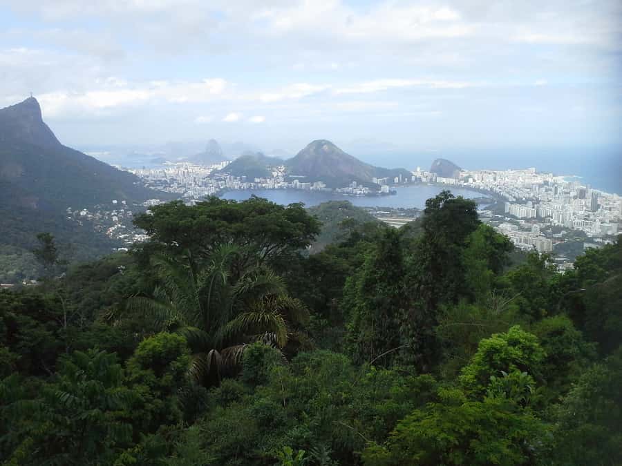 Private Tijuca Forest & Botanical Garden Guided Tour - Who should book this experience?