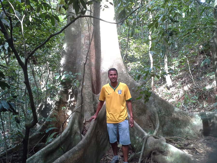 Private Tijuca Forest & Botanical Garden Guided Tour - Why this five-hour Rio nature tour works